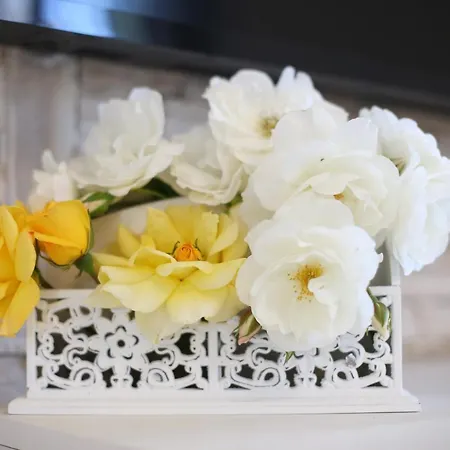 Dalmatino アパート